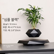 공중부양 화분 특이한 인테리어소품 조형물 조각상 사무실 자석화분, A. 블랙