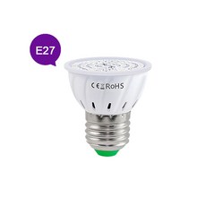 햇빛아래식물등