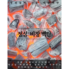 쇳소리비장탄