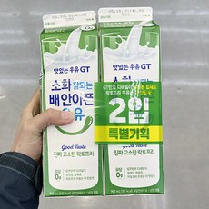 남양유업 GT 고소한 락토프리 우유 기획, 4개, 900ml, 아이스보냉백포장
