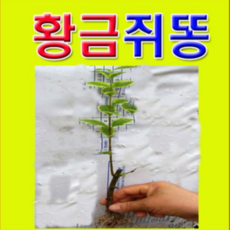 9da6cb5fe4fafa7afdad0b68b07c36ac7afc448365baf8534ae8003bdbc3.png