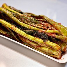 전라도 순천 가정식 갓김치, 2kg