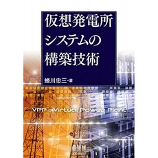가상 발전소 시스템 구축 기술, 단일옵션
