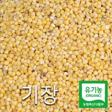 초록마을기장