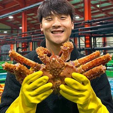  특A급 러시아 활 브라운킹크랩 1.5kg, 단품 