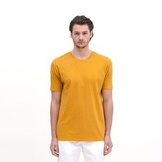 gl0181