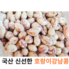 국내산 신선한 호랑이 강낭콩 1kg 2kg 국산 고소한 강낭콩 햇곡 콩 얼룩이콩 울타리콩 밤콩 약콩 얼룩이콩 울타리콩 혼합도 판매