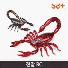 9살남아생일선물