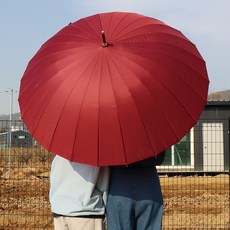 24뼈대 튼튼한 장우산 골프우산 자동 대형 우산
