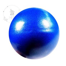 늘쎗트 소프트미니볼15CM SP 블루 미니짐볼