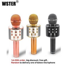 wster마이크
