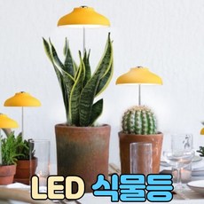 퓨처그린식물등