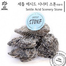 세틀 에시드 시너리 스톤 (청룡석) 20kg 마대, 1개