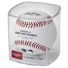 ymbaseball