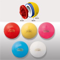 파크골프게이트볼