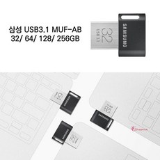 삼성usb256g