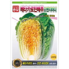 다듬배추