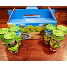 얼려있는야쿠르트