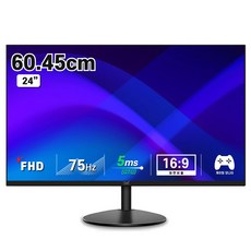 디엑스 60.5cm (24인치) 75Hz 사무용 게이밍 컴퓨터 모니터 DX245HDMI, DX245HDMI(일반)