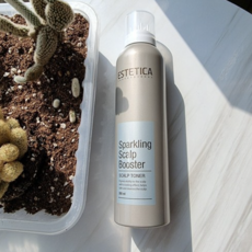 에스테티카부스터