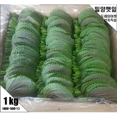 청년깻잎