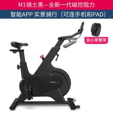 홈트 실내 자전거 가성비 사양 사이클 스피닝, 블랙