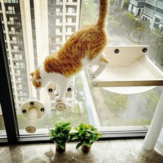 좋아하는 고양이의 안락함을 위한 창문 해먹 - window cat hammock