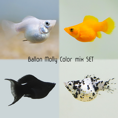 36f0448eacc6a59b7f5f8a51be3c85c49cc6bacf7cf4ab55447398f0ea6c.png