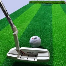 5세대볼라이너 티꽂이매트 퍼팅장 PGM 58cm 너비 실내 골프 퍼팅 연습기 다구도, 옵션01