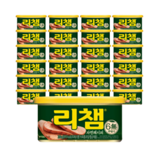 동원 리챔 자연레시피, 200g, 24개