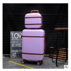 수트케이스기내보관