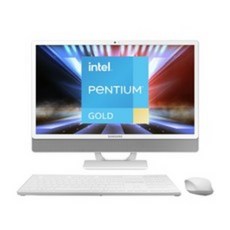 삼성전자 올인원 일체형PC DM530ADA-L25AW (펜티엄골드 7505 DDR4 8GB 60.5cm WIN10 Pro), NVMe 128GB + HDD 1TB