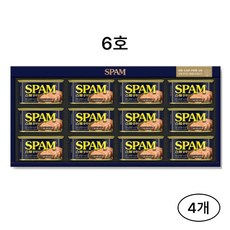 스팸6호 TOP01