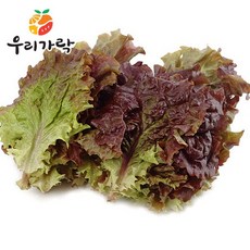[우리가락] 적상추 250g, 1개