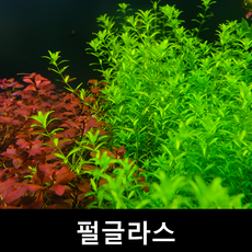 d9623de4d928e88ab68e2a57a52e588eb7c66eca12370d12020fb69a6a87.png