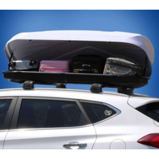 그랜드카니발루프박스