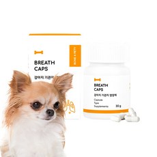 본아페티 브레스캡스 강아지기관지영양제 호흡기 기침 리버스스니징 캡슐 60정, DHA/EPA, 1개