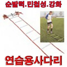 금우 스텝레더/연습용 사다리 민첩성/순발력강화/축구.농구.기타 체력훈련용/8m/학교