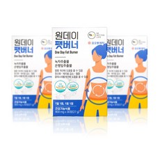 원데이팻버너
