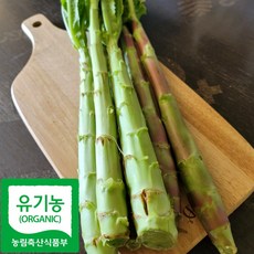 국산 친환경 궁채 나물 줄기상추, 1박스, 1kg