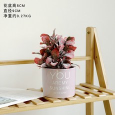0172099ece5f44992230113b143dca50055b4d221ffb391b03a1ed08c5e7.jpg