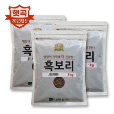 [대한농산] 23년산 국산 흑보리 3kg (1kg X 3봉) 흑찰보리 블랙보리