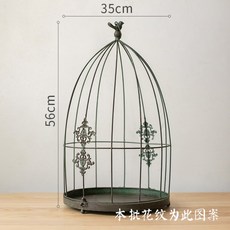 틸란드시아거치대