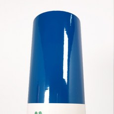 실루엣카메오포트레이트