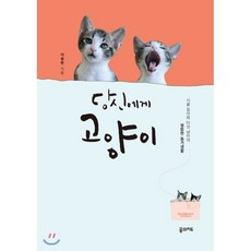 책을지키려는고양이