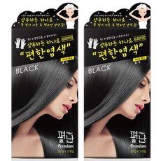 펴난 샴푸하듯 하나로 프리미엄 편한염색 30g 헤어컬러, 검정, 2개