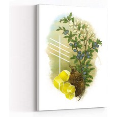 크리스털오라클