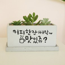 사무실 식당 가게 오픈 개업 축하 대박기원 개업식 선물 - 캘리그라피 미니화분, 화이트, 뒷면인쇄안함