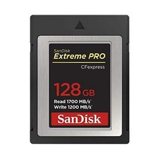 샌디스크cfexpress128gb