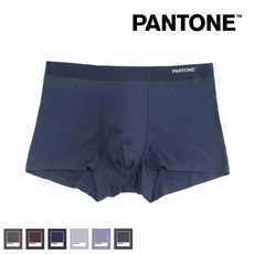 pantone드로즈